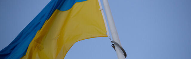 В Украине погиб шестой финский доброволец