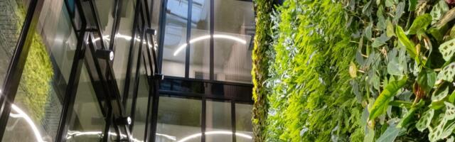 Tartus toimuval sümpoosionil arutletakse taimede, mullaelustiku ja keskkonnategurite vastasmõju üle