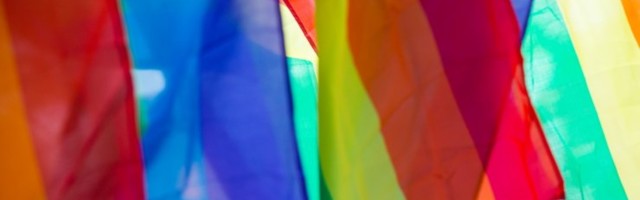 LUGEJAKIRI | Homoseksuaalne naine: ma ei tunne end enam Eestis turvaliselt ja õnnelikult