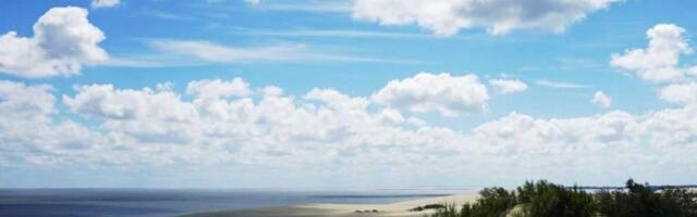 СОКРОВИЩЕ ЕВРОПЕЙСКОЙ КИНОКУЛЬТУРЫ