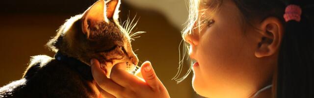 Miks lapsed kassidele ei meeldi?