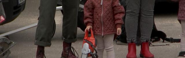 Selgusid Eesti meistrid käsitöö palkmaja ehituses