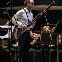 Karged hoovused avali (kultuuri)aknast