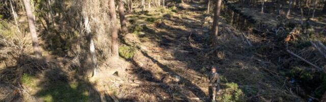 EBASEADUSLIK METSARAIE | Hiiumaa looduskahju kohtueelne uurimine on lõppenud