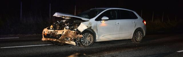 KURB STATISTIKA | Talvekülm toob metsloomad teele ja autorataste alla