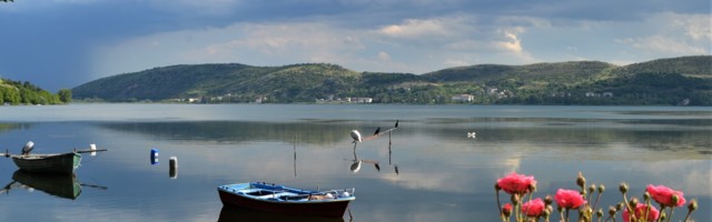 Diana Amos: õnne saladuse otsinguil