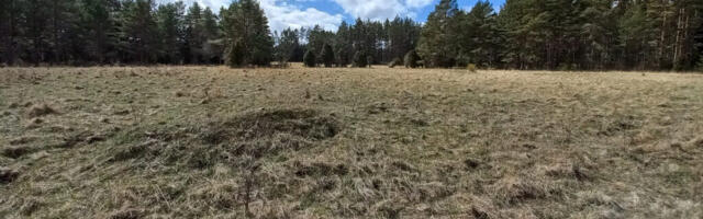 ARHEOLOOGIAMÄLESTIS | Riik võttis kaitse alla Suurepsi muistsed põllud Hiiumaal