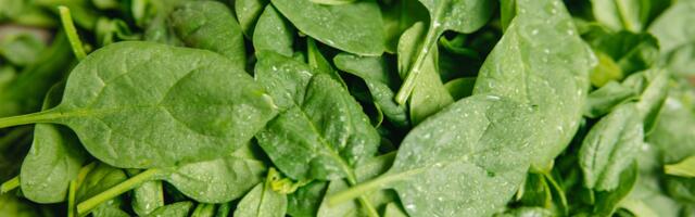 Spinatist tuvastati taimekaitsevahendi jäägi ületus