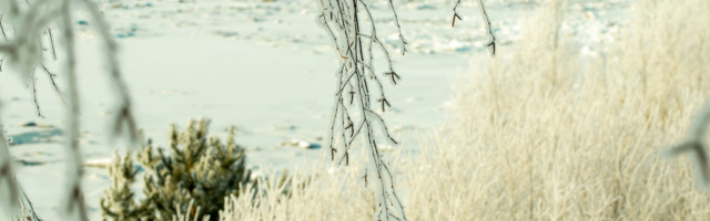 Elisabet Reinsalu: kas sa börsiuudiseid jälgid?