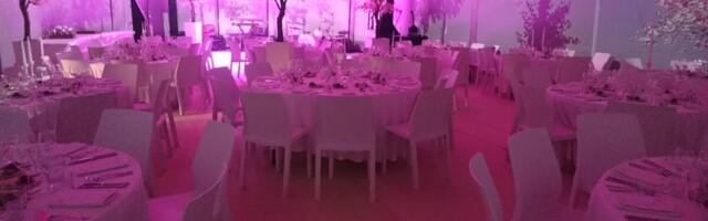 Digitiva: 4 nippi, kuidas korraldada erilist üritust kasutades multimeediat ja heli