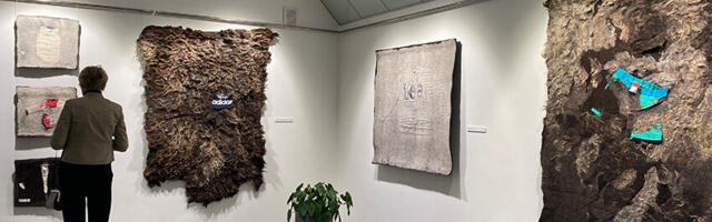 Lambad on siin ja lambad on seal