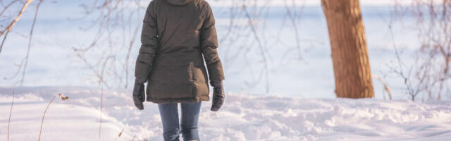 Elisabet Reinsalu: väike tiir kraavipervel