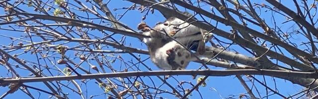 Päästjad said väljakutsed Jõgevamaalt, Tartumaalt, Valgamaalt, Põlvamaalt ja Võrumaalt