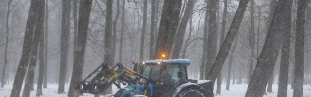 Mati Raidma: maamaks tõuseb. Selle eest peaks kõnniteed lumest puhtaks lükkama