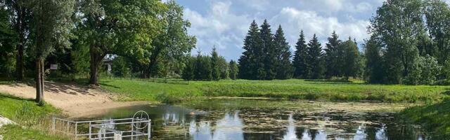 Alavere tiigi vesi pole supluskõlbulik