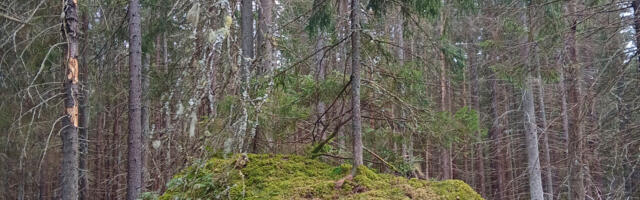 Harjumaa tärkab. Aeg minnaloodusesse 