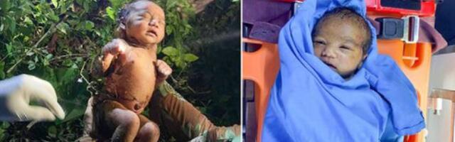 Tai metsast leiti kahe päeva vanune saatuse hoolde jäetud imik