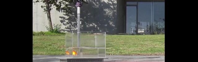 Reporter: Uskumatu avastus! Kuldkalad suudavad «autoga» sõita