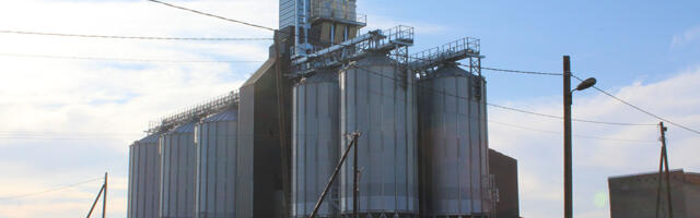 Vili ko­ris­ta­ti põl­du­delt mõ­ne nä­da­la­ga