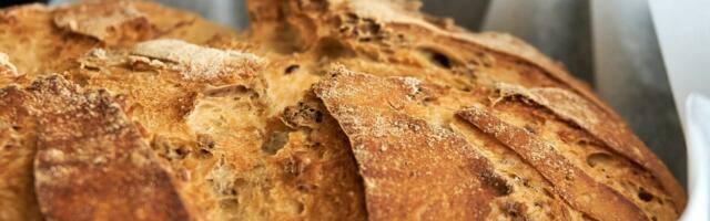 Teadusuuringud gluteeni sisaldavate teraviljade ja skisofreenia seostest