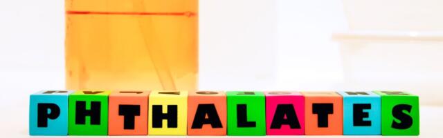 UURING: Plastikusse pakitud toidu söömine võib põhjustada enneaegse sünnituse