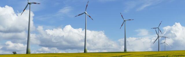 Allkirju ootab petitsioon Põltsamaa kaitseks: 3-aastane paus tuuleparkide arendusse