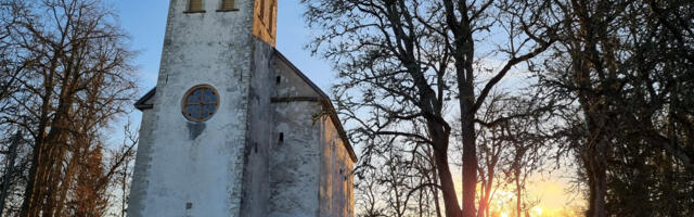 KOLUMN ⟩ Malle Pärn: kas me oleme armastusevaene rahvas?