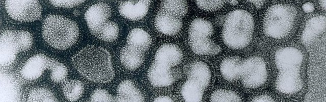 Aasta Viiruseks 2020 valiti gripp