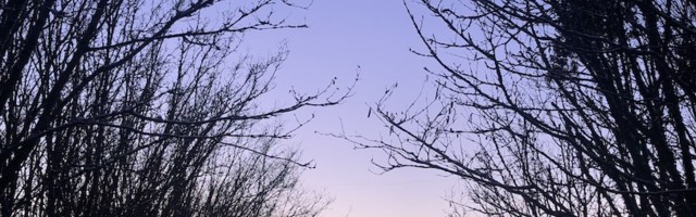 Eia Uus: tavaline elu