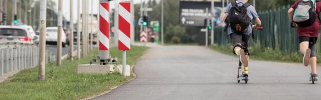 Margus Mikomägi: kergtee teeb loodusele rohkem kahju kui lageraie