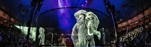 Loomade riik elustub hologrammides: Eestisse jõuab uudne „Tuleviku tsirkus“