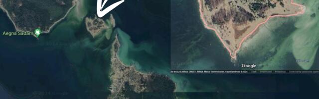 LUGEJAKIRI: mis probleemi Mik & Co Kräsulil lahendab?