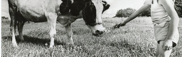 Raul Eamets põllumajandusest: tuleb sügavalt imestada, et keegi ses sektoris üldse veel tegutseb