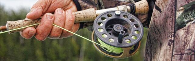 Sindi kärestikul ollakse hädas röövpüüdjatega