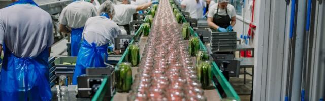 Põltsamaal pannakse purki 2 miljonit kilo kurki, kõrvitsat ja kapsast