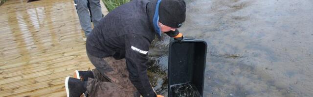 Pühajärve ja Nõuni järve toodi uued asukad