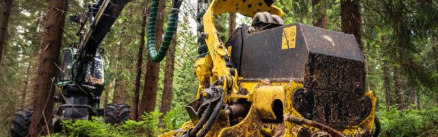 4.03.2024-28.04.2024 on Kastre valla kohalikel teedel raskeveokite liikluse piirangud