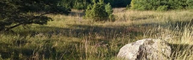 Krundiostjad teevad ohtlikke vigu