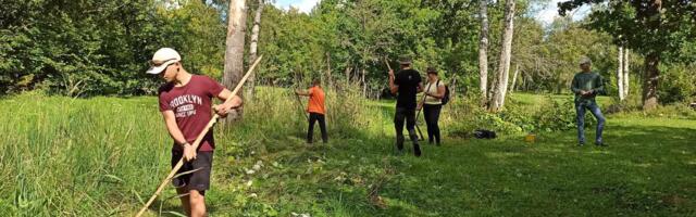 Hoitud keskkond on oluline investeering