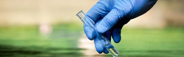 Viirustase reovees on taaskord pea kõikjal Eestis tõusnud