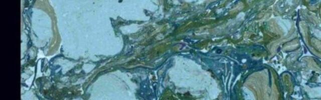 Antropoloogide väitlus majandusteadlastega