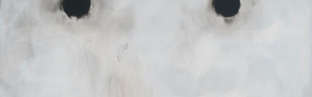 Anda Lāce Tartu Kunstimajas