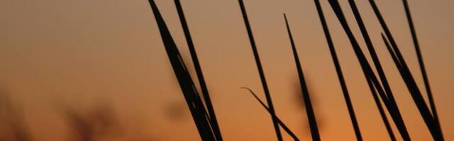 9 märki, et sinu elu hakkab lõpuks paika loksuma – isegi kui sa seda veel ei näe.