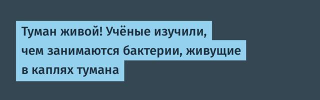 [Перевод] Туман живой! Учёные изучили, чем занимаются бактерии, живущие в каплях тумана
