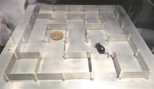 Mängumaailmadest Matrixisse