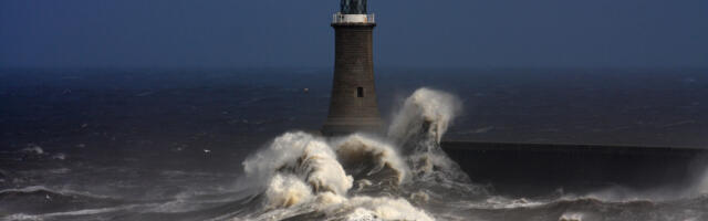 Makroskoop teelahkmel – portaali väljavaated jätkamiseks