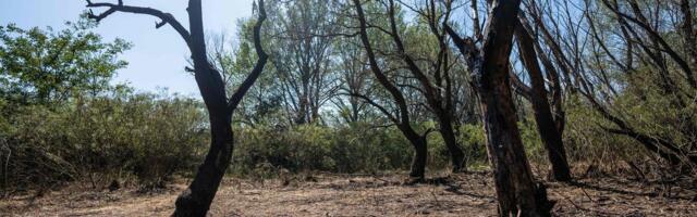 SÕJARAPORT | Rainer Saks: Rumeenia õhukaitse võib laieneda ka Ukrainale