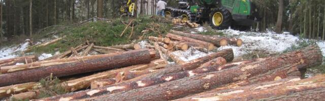 Metsatööstuse käibe TOP 20: suurim langus tabas suurimaid ettevõtteid