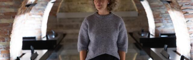 Üle lävepaku meelitaja