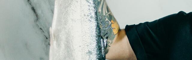 Pärnu jõkke lisandus uusi elanikke